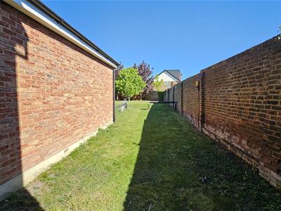 Picture 8